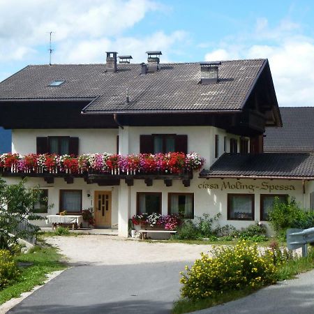 Villa Luech Da Spescia à La Valle Extérieur photo